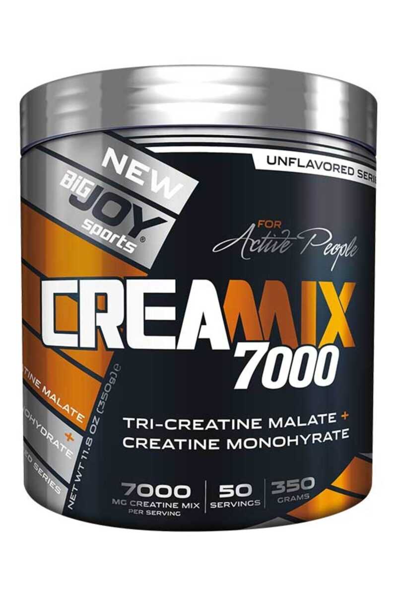 TY-Bigjoy Creamix 7000